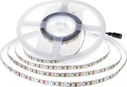 V-TAC Bandă LED Alimentare 24V cu Lumină Alb Rece Lungime 5m și 60 LED-uri pe Metru SMD2835