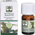 Bioselect Natural Essential Biologisch Ätherisches Öl Minze 5ml