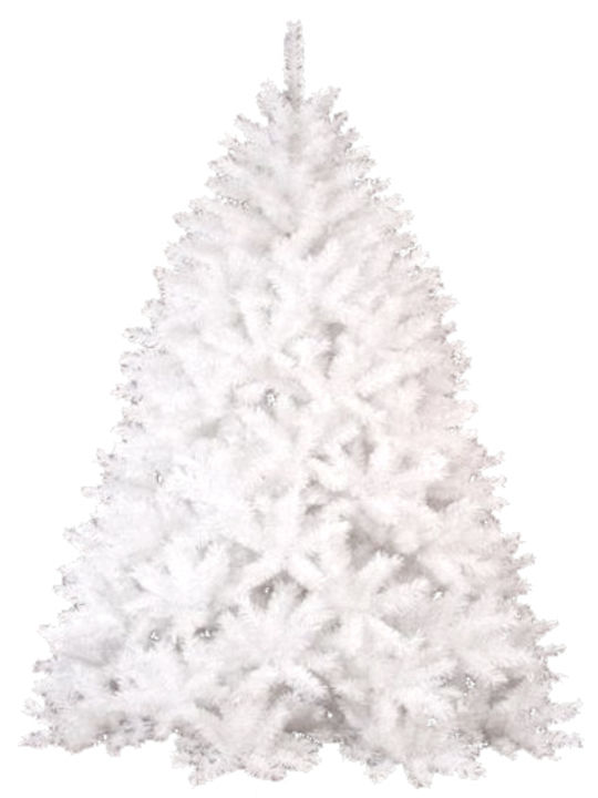 Christmas Tree Super Colorado 180cm with 689 Branches White