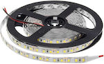 Optonica Bandă LED Alimentare 12V cu Lumină Alb Rece Lungime 5m și 120 LED-uri pe Metru SMD2835