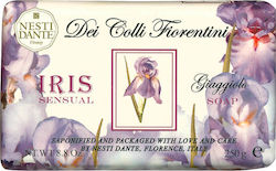 Nesti Dante Dei Colli Fiorentini 250гр