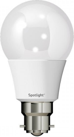 Spot Light LED Bulb 10W for Socket B22 and Shape A60 Cool White 800lm