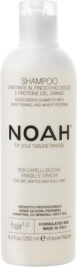 Noah for Beauty Shampoos für Zerbrechlich Haare 250ml