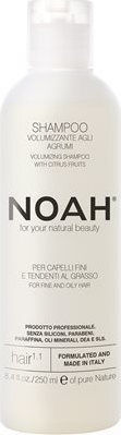Noah for Beauty Shampoos Glanz für Ölig Haare 250ml