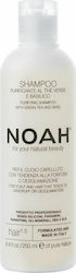 Noah for Beauty Sampon de Păr împotriva Mătreaței 250ml Noah for Beauty Sampon de Păr împotriva Mătreaței 250ml