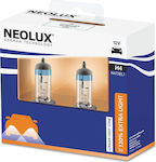 Neolux Λάμπες Αυτοκινήτου 130% Extra Light H4 Αλογόνου 12V 60W 2τμχ