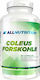 AllNutrition Coleus Forskohlii 90 capace