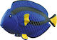 Gama Brands Rep Pals Blue Tang Paracanthurus 14εκ. (Διάφορα Σχέδια)