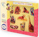 Wooden Kids Peg Puzzle Wooden Puzzle Wild Jungle Animals 9pcs Anelixi