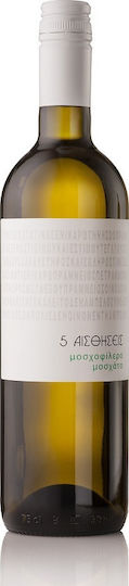 Ktima Lantidi Wine 5 Senses White Dry Nemea 750ml