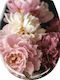 Kleine Wolke Plastic Soft Close Toilet Seat Bordeaux Rosemarie 45cm