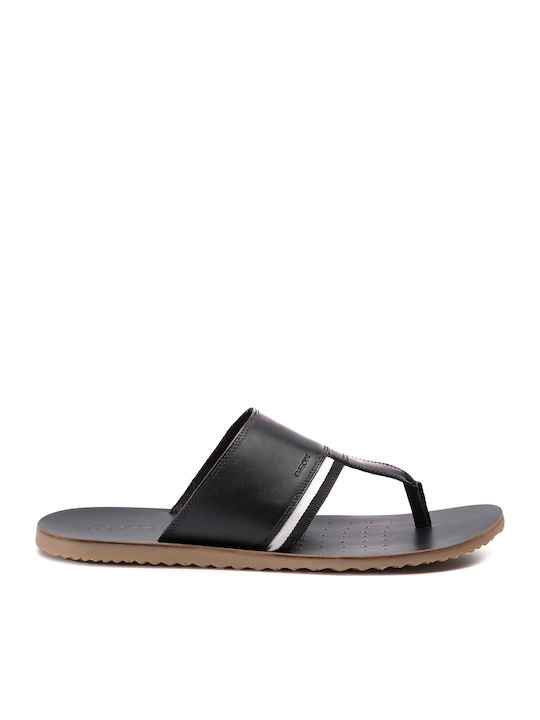 Geox artie hotsell
