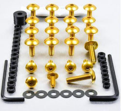 ȘURUBURI CU CAP PLAT ȘURUBURI DE ALUMINIU KIT DE CARANTINĂ MT-09 FYA356G GOLD| PRO BOLT