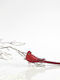 Christmas Plastic Figure Little bird Red Height 4cm