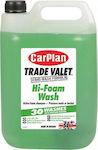 Car Plan Foam Cleaning for Body Trade Valet Hi-foam Wash 5lt CFW005