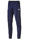 Liga Training Jogginghose Marineblau