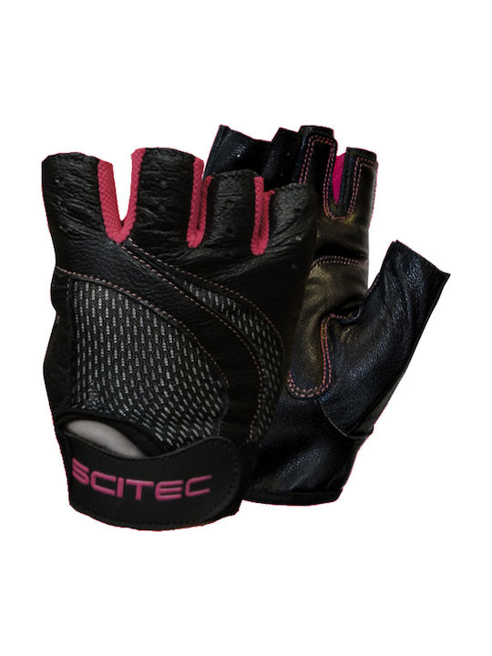 Scitec Nutrition Sporthandschuhe Fitnessstudio