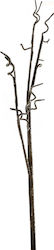 Vafeidis Sucursala Sucursala Καφέ Lungime 87cm Lungime 87cm