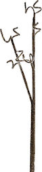 Vafeidis Sucursala Decorativă Sucursala Aurie 55cm Lungime 55cm