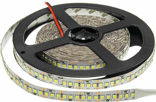 Optonica Ταινία LED 12V Ψυχρό Λευκό Φως 5m Τύπου SMD2835