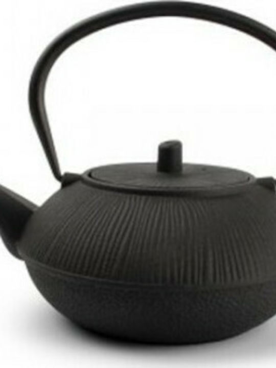 Salt & Pepper Tea Set with Filter Cast Iron Black 800ml 1pcs