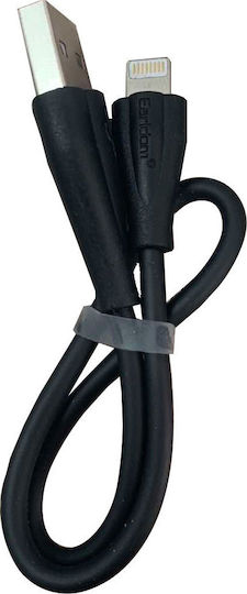 Earldom Regular USB to Lightning Cable Μαύρο 1m (EC-S010i)