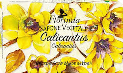 Florinda Vegetal Soap with Lavender 100g