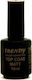 Trendy Color Cosmetics Top Coat for Semi-Permanent Nail Polish Matte 15ml