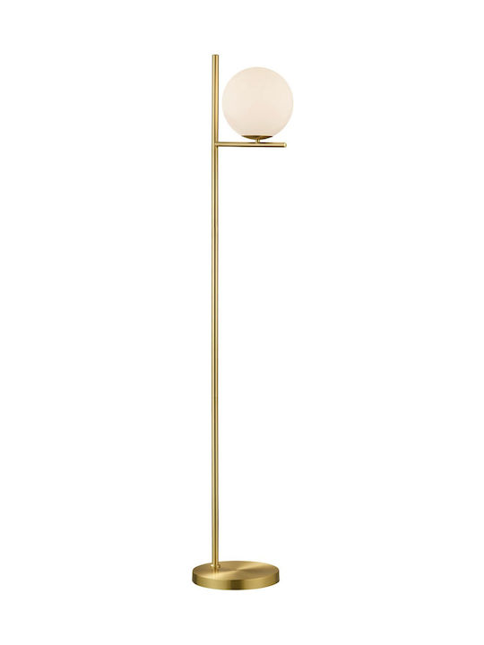 Trio Lighting Pure Stehlampe H150xB32cm. mit Fassung für Lampe E14 Gold