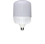 Atman LED Lampen für Fassung E27 Kühles Weiß 7200lm 1Stück