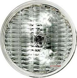 GE PAR36 Λάμπα Ειδικού Τύπου 650W