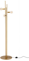 Luma 100-01216-10 Floor Lamp H185cm. Gold