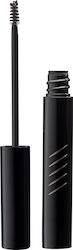 Radiant Definer Fix & Farbe Wasserdichte Augenb...