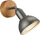 Trio Lighting Delhi Single Spot with Socket E14 in Gray Color