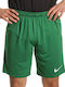 Nike Dry Park III Men's Athletic Shorts Dri-Fit Green