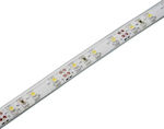 Cubalux Rezistentă la apă Bandă LED Alimentare 24V cu Lumină Alb Natural Lungime 5m și 30 LED-uri pe Metru SMD2835