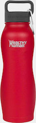 Healthy Human Curve Water Bottle 620ml Healthy Human Curve Water Bottle 620ml