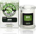 Mastic Origins Queen 24h Feuchtigkeitsspendend Creme Gesicht mit Hyaluronsäure & Aloe Vera 60ml