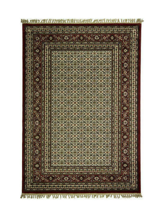 Viokarpet 6808-077 Rug Rectangular Ecru