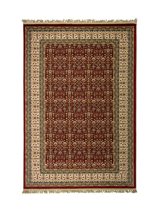 Viokarpet 6808-1018 Rug Rectangular with Fringe...