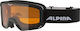 Alpina Scarabeo S D Adult Ski & Snowboard Goggles Black with Orange Lens