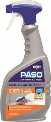 Flüssig Reinigung für Körper und Felgen Paso 500ml 73102