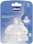 Chicco Natural Feeling Babyflaschensauger für 6+ Monate 2Stück