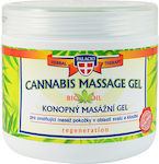 Palacio Cannabis Massage Gel 5% 600ml