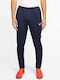 Nike Men's Sweatpants Dri-Fit Blue