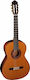 Almansa 434 Classic Conservatory Open Pore