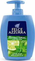 Paglieri Mint & Lime Citrus Fruits 300ml