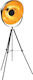 vidaXL Floor Lamp H167xW51cm. with Socket for Bulb E27 Gold