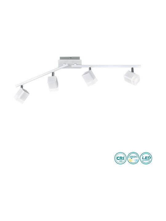 Trio Lighting Roubaix LED Spot cu 4 Lumini în C...