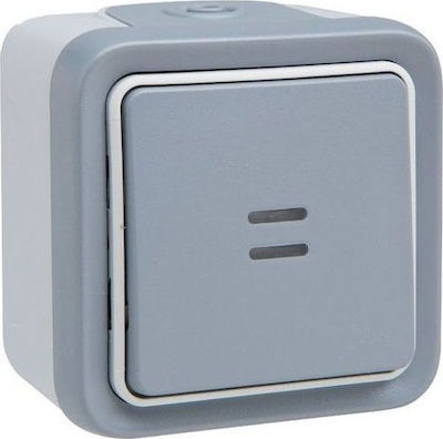 Legrand Plexo 0697 External Electrical Lighting Wall Switch no Frame Basic Aller Retour Illuminated Waterproof Gray 069713